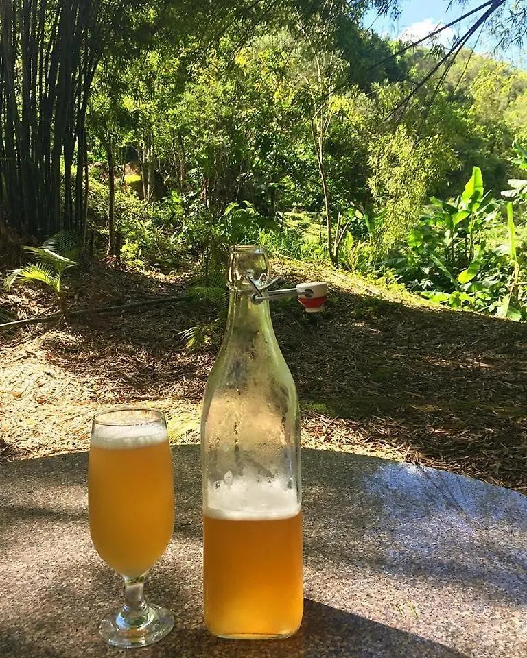 Maison d'hôtes Pousada E Recanto Gruneneberg Benedito Novo